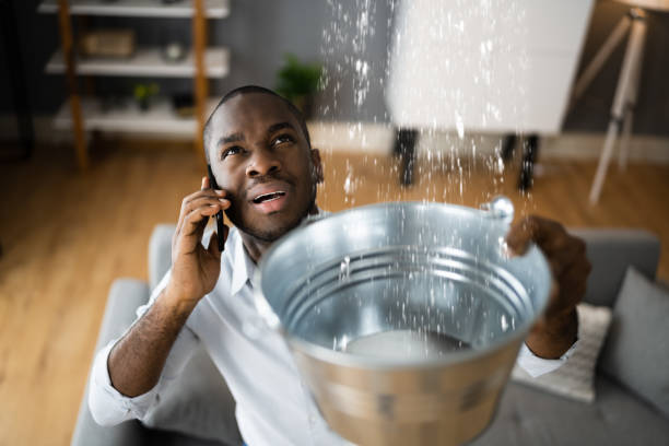 Best Carpet water damage restoration  in Greene, IA