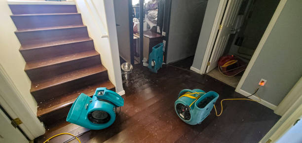 Best Flood restoration services  in Greene, IA