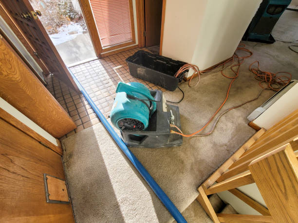 Best Water damage restoration cost  in Greene, IA