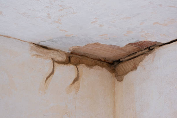 Best Sewage cleanup and water damage restoration  in Greene, IA