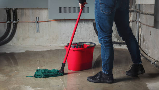 Best Professional water damage repair  in Greene, IA