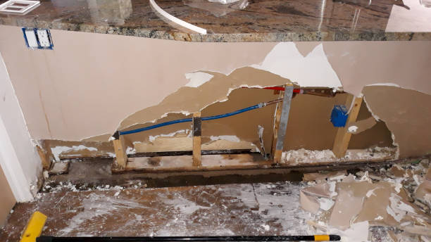 Best Flooded house restoration  in Greene, IA