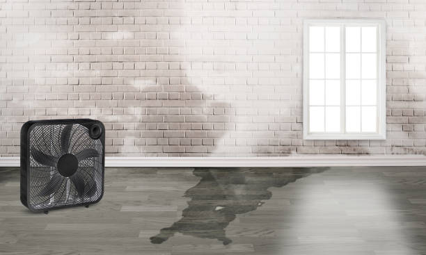 Reliable IA Water damage restoration Solutions