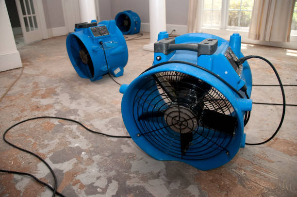 Best Flooded house restoration  in Greene, IA