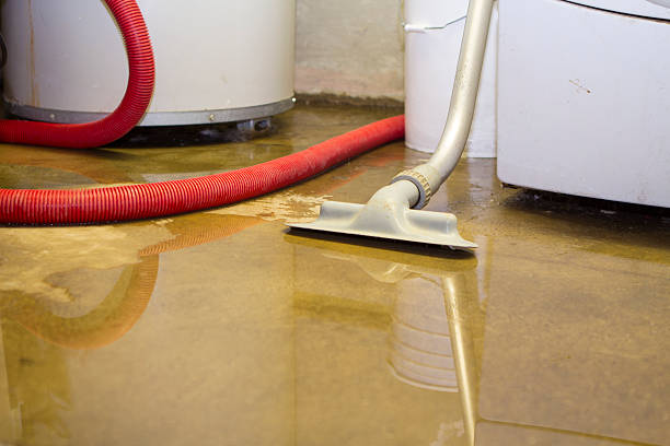 Best Flood damage cleanup  in Greene, IA