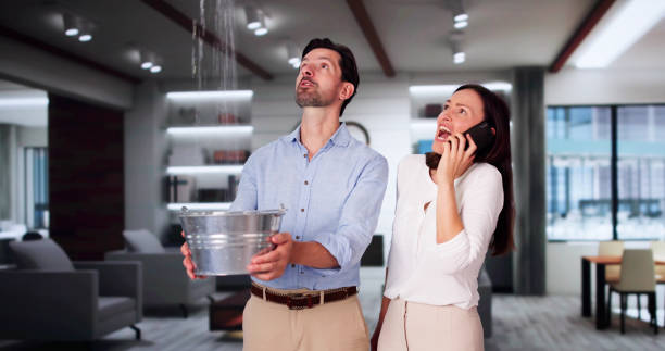 Best Water damage cleanup near me  in Greene, IA
