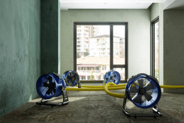 Best Fire Damage Restoration  in Greene, IA