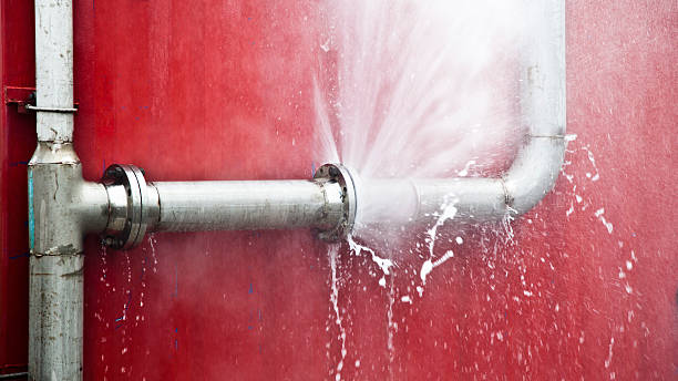Best 24/7 water damage repair  in Greene, IA